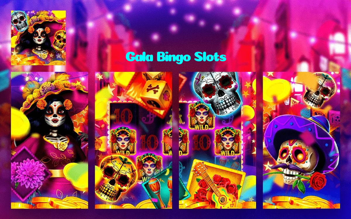 available types of Gala Bingo Slots bet including pre-match live express and system bets